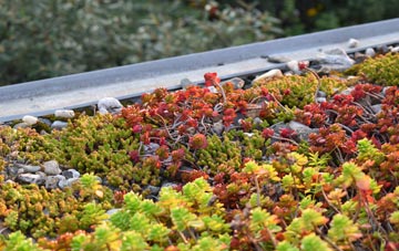 the cost of Calais Street green roof installation