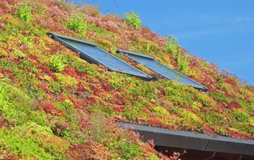 Calais Street living roof systems